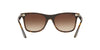 RAY-BAN <small>RB4440N BLAZE WAYFARER</small>